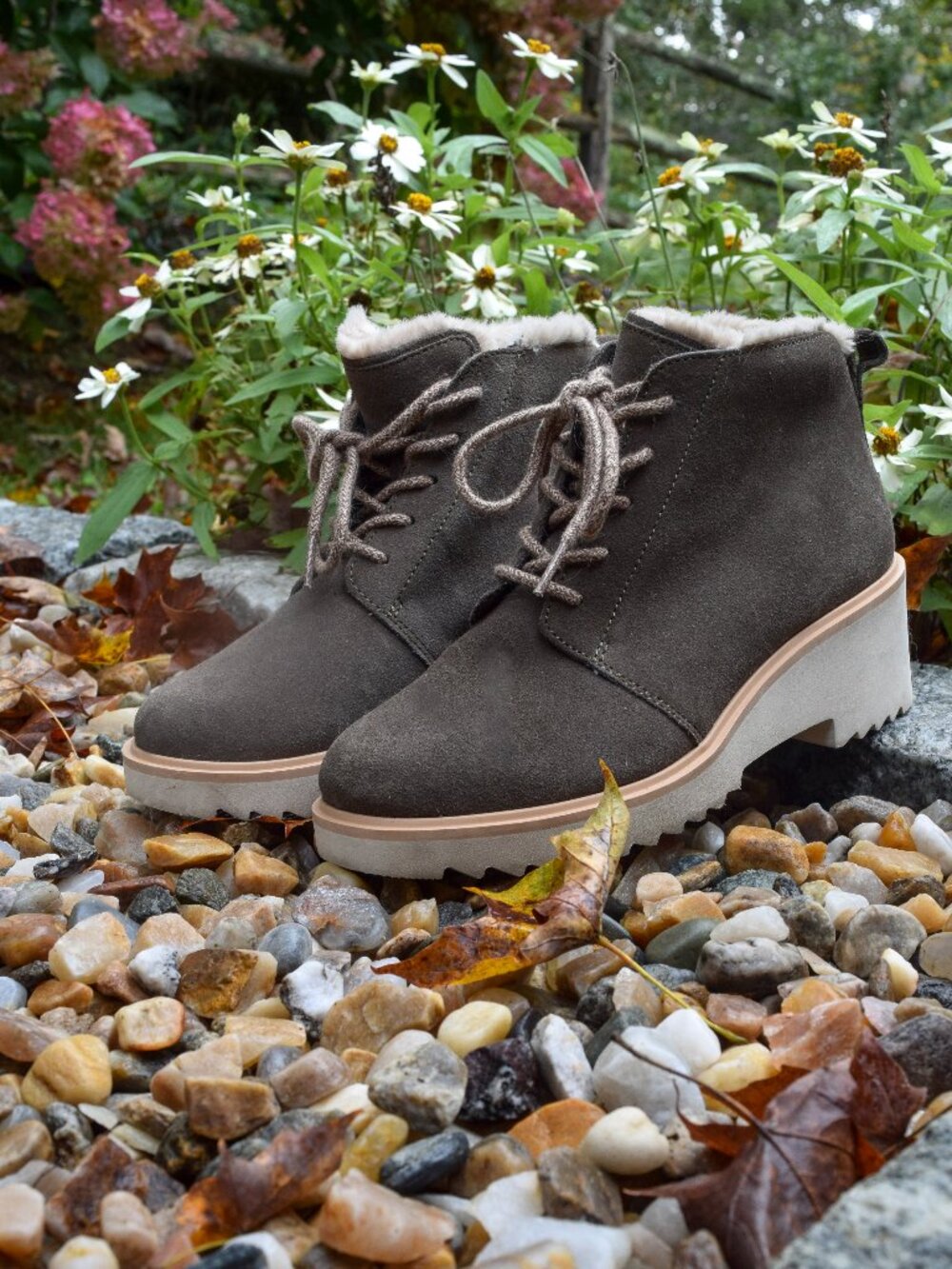 Toms Suede Ankle Bootie